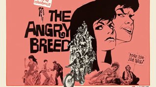 Online film The Angry Breed