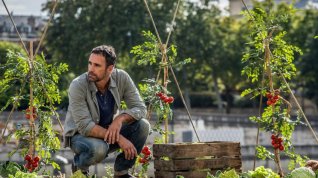Online film Sei mai stata sulla luna?