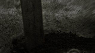 Online film Fertile Ground