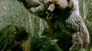 Online film Grizzly zabiják