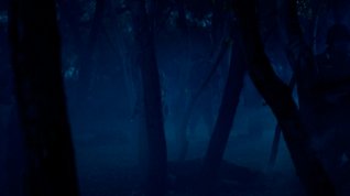 Online film Fort McCoy