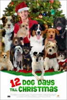 Online film 12 Dog Days Till Christmas