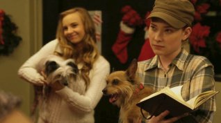 Online film 12 Dog Days Till Christmas
