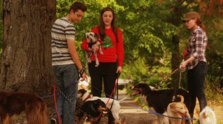 Online film 12 Dog Days Till Christmas