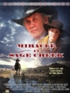 Online film Zázrak u Sage Creek