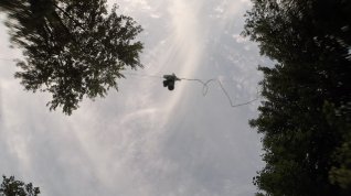 Online film Capturing Happiness