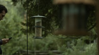 Online film Capturing Happiness