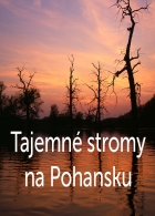 Online film Tajemné stromy na Pohansku