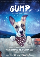 Online film Gump - pes, který naučil lidi žít
