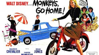 Online film Monkeys, Go Home!