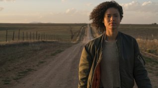 Online film Fast Color