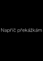 Online film Napříč překážkám