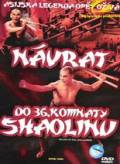 Online film Návrat do 36. komnaty Shaolinu