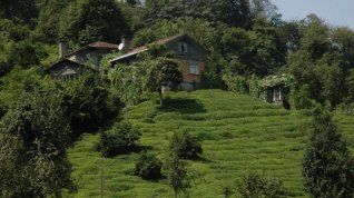 Online film Der Müll im Garten Eden