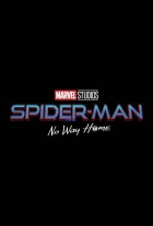 Online film Spider-Man: Bez domova