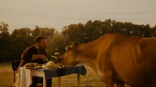 Online film Święta krowa