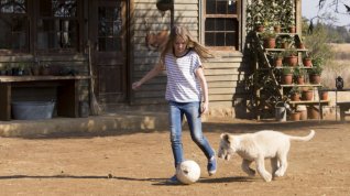 Online film Mia a bílý lev
