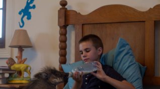 Online film Mia a bílý lev
