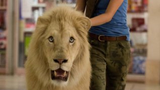 Online film Mia a bílý lev