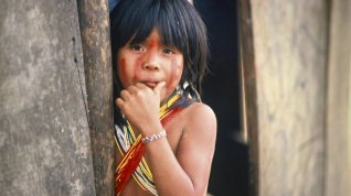 Online film Děti Amazonie