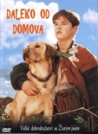 Online film Daleko od domova - Dobrodružství žlutého psa