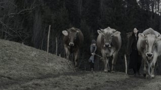 Online film Das Deckelbad - Die Geschichte der Katharina Walser