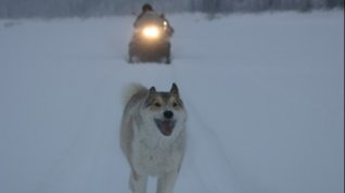 Online film Šťastní to lidé: rok v tajze