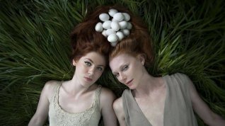 Online film Ovum