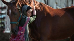 Online film Dressage