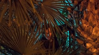 Online film Ciemno, prawie noc