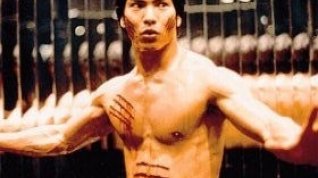 Online film Dračí život Bruce Lee