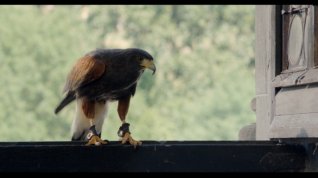 Online film Das Haus Anubis - Pfad der 7 Sünden