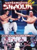Online film Nepřemožitelný Shaolin