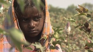 Online film Vandana Šiva: osivo a nadnárodní semenářské společnosti