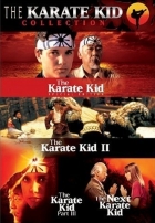 Online film Karate Kid 2
