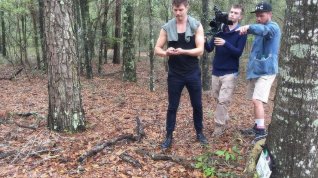 Online film Moss