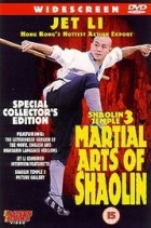 Online film Bojová umění Shaolinu