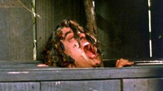 Online film Sleepaway Camp II: Unhappy Campers