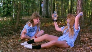 Online film Sleepaway Camp II: Unhappy Campers