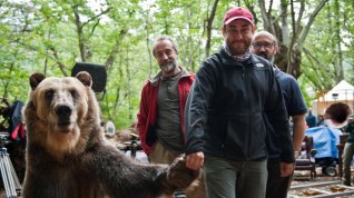 Online film ¿Para qué sirve un oso?