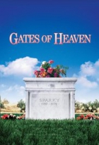 Online film Gates of Heaven