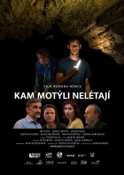 Online film Kam motýli nelétají