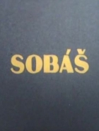 Online film Sobáš