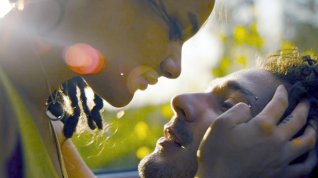 Online film American Honey