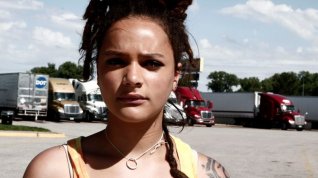 Online film American Honey