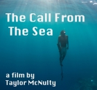 Online film Volání moře