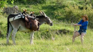 Online film Antoinette dans les Cévennes