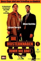 Online film Die Musterknaben