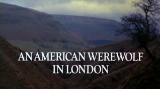 Online film Americký vlkodlak v Londýně