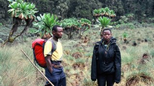 Online film Mbambu a hory měsíce